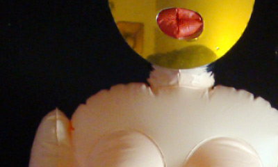 Love Your Neighbor As ...